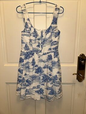 Japna Blue and White Floral Toile s small Dress